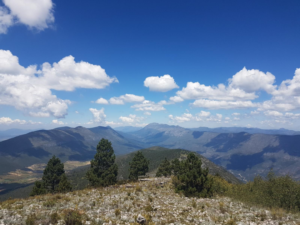 El Coahuilon